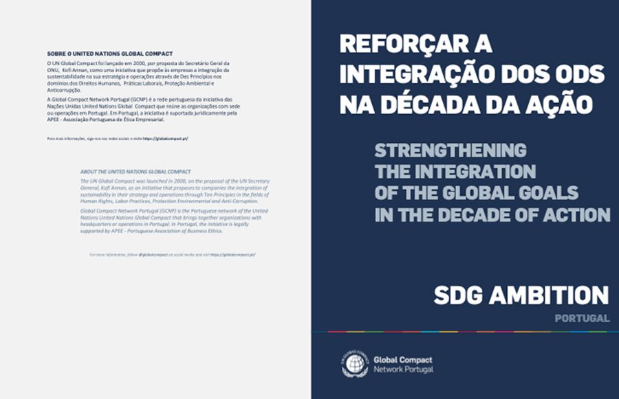 Strengthening the Integration of the Global Goals in the Decade of Action